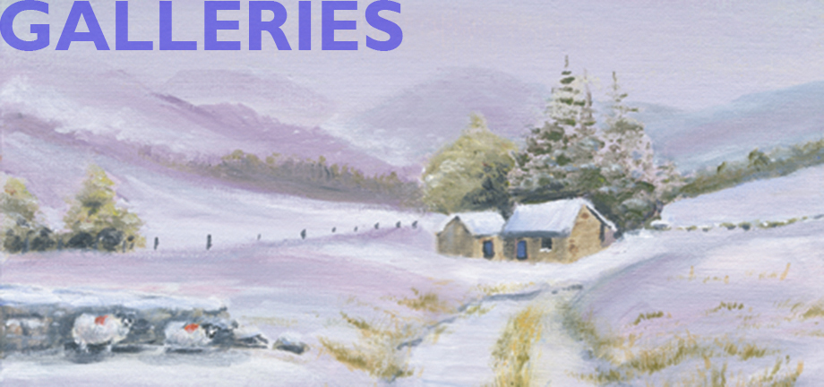 Galleries banner